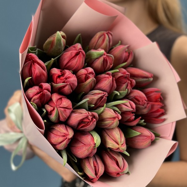 25 красных пионовидных тюльпанов Ред Принц